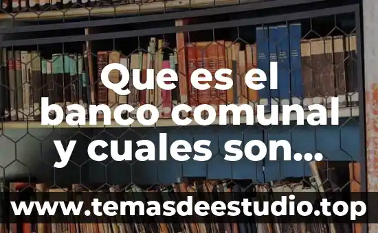Que es el banco comunal y cuales son sus funciones