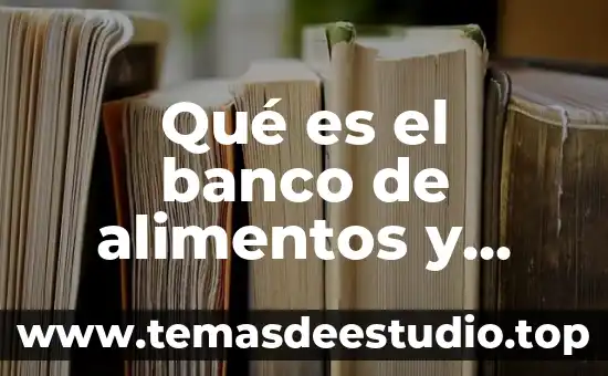 Que es banco en linea banorte 8 Qué es el banco de alimentos y cómo funciona