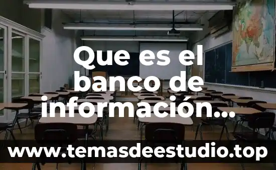 Que es una entidada economica 3 Que es el banco de información economica del inegi