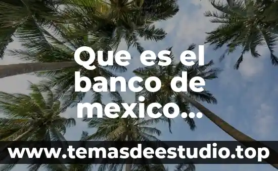 Qué es el banco de alimentos y cómo funciona 3 Que es el banco de mexico precentacion