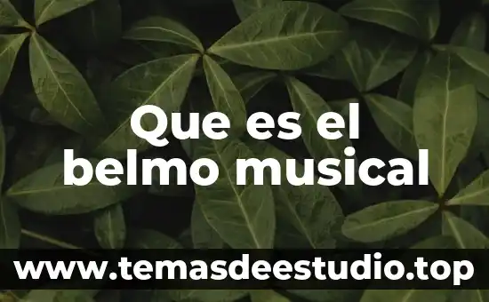 Que es el belmo musical