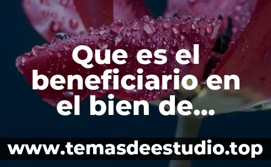 Que es el beneficiario en el bien de familia