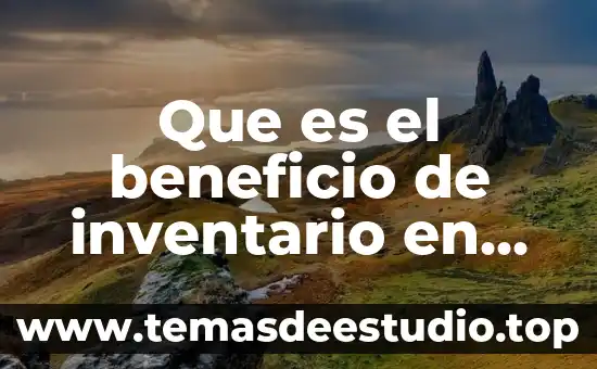 Que es una planta de beneficio minero 7 Que es el beneficio de inventario en derecho
