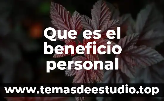 Que es una planta de beneficio minero 4 Que es el beneficio personal