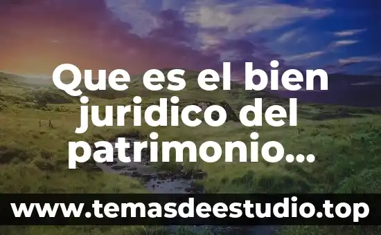 Que es el bien juridico del patrimonio economico