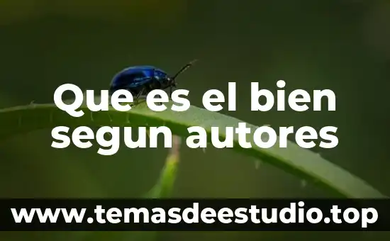 Que es el bien segun autores