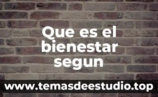 Que es el bienestar segun