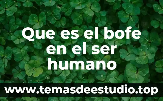 Que es lo que le conviene comer al ser humano 4 Que es el bofe en el ser humano
