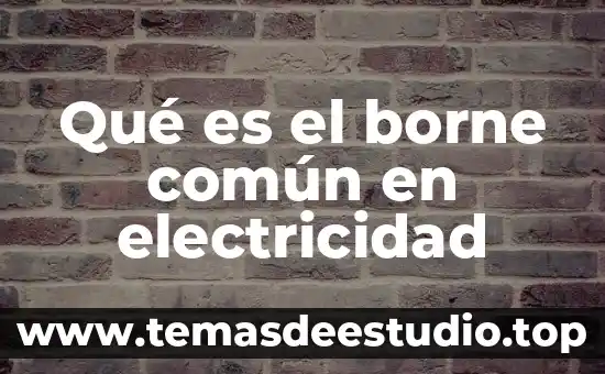Qué es asma bronquial nombre común 4 Qué es el borne común en electricidad