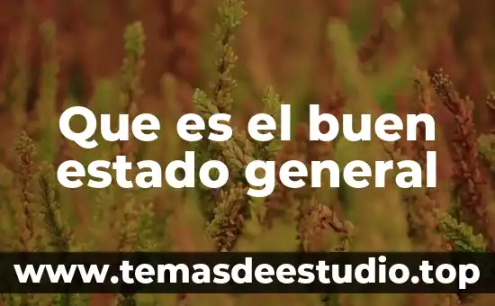 Que es el buen estado general