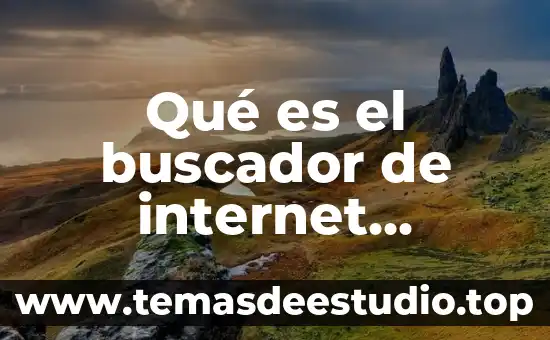 Que es el estoma y sus ejemplos 4 Qué es el buscador de internet ejemplos