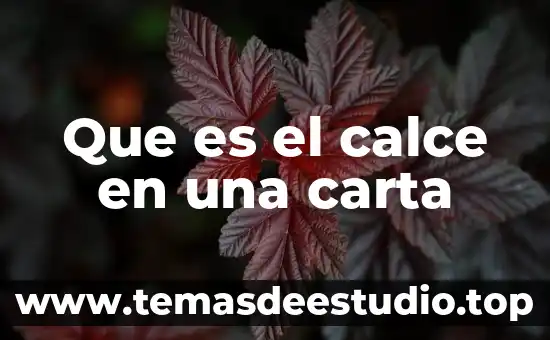 Que es factura y carta factura 4 Que es el calce en una carta