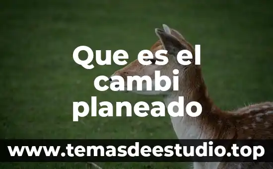 Qué es un embarazo deseado y planeado 7 Que es el cambi planeado