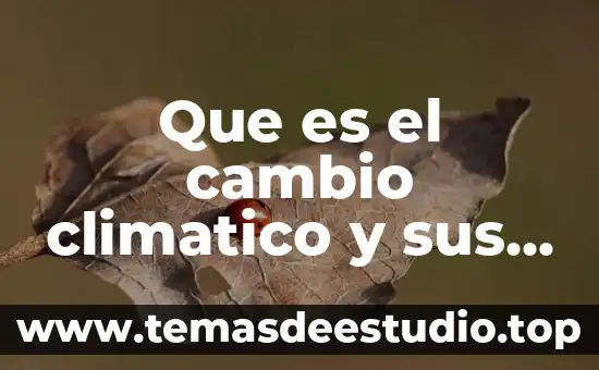 Que es lo que se del cambio climatico 8 Que es el cambio climatico y sus causas y consecuencias