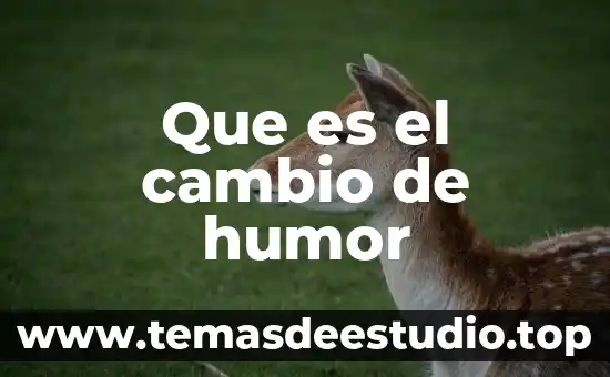 Que es el tipo de cambio concepto 8 Que es el cambio de humor