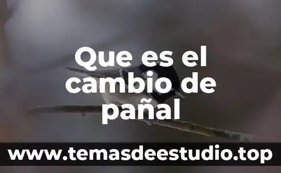 Que es un cambio quimico en el ambiente 7 Que es el cambio de pañal