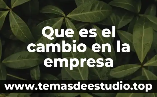 Que es el tipo de cambio concepto 4 Que es el cambio en la empresa