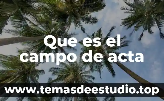 Acta de seguridad social que es 6 Que es el campo de acta