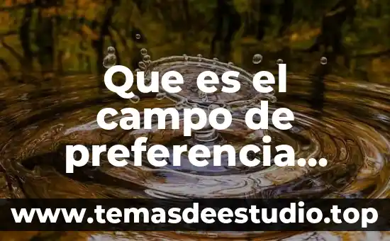 Que es el campo visual en fotografia 8 Que es el campo de preferencia sexual