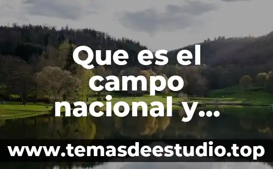 Que es una verbena popular mexicana 5 Que es el campo nacional y popular
