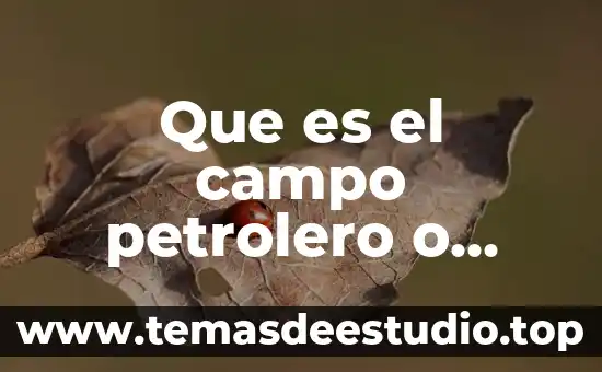 Que es gestion y su campo laboralç 4 Que es el campo petrolero o planta refinería de petroleo