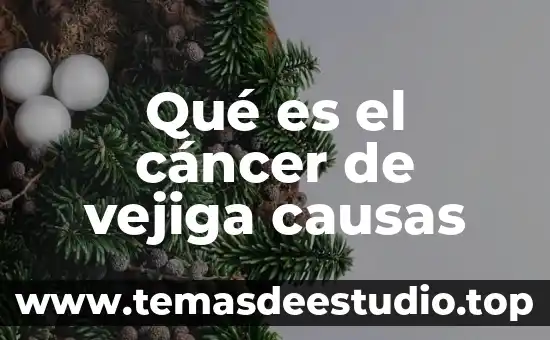 Cáncer de vejiga qué es causa y tratamiento 3 Qué es el cáncer de vejiga causas