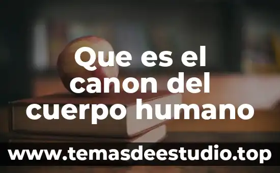Que es el canon del cuerpo humano