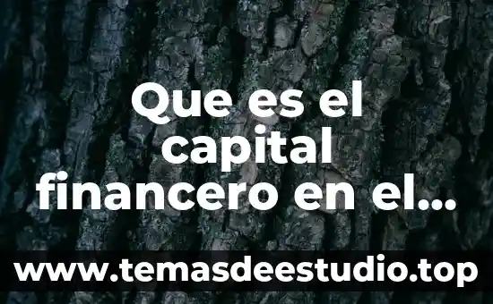 Que es un modelo de cálculo en arquitectura 8 Que es el capital financero en el modelo de skandia