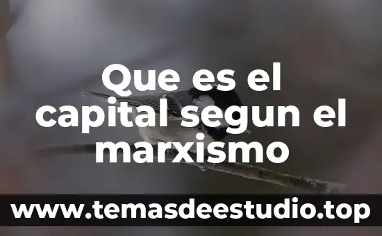 Que es el capital segun el marxismo
