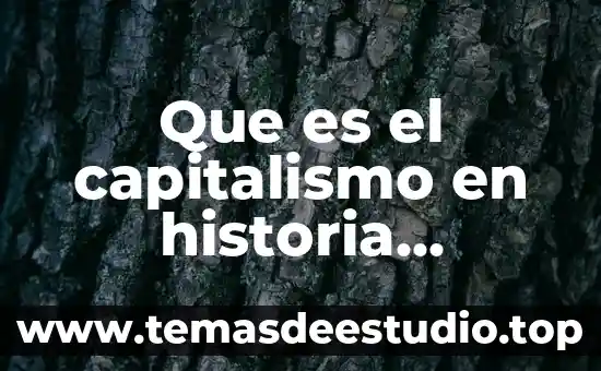 Ilutracion que es historia universal 3 Que es el capitalismo en historia universal contemporanea