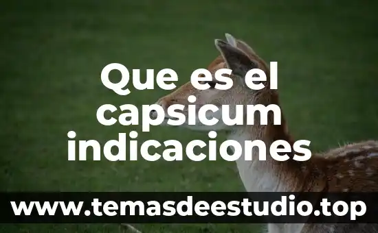 Qué es y cómo funcionan los afores 5 Que es el capsicum indicaciones