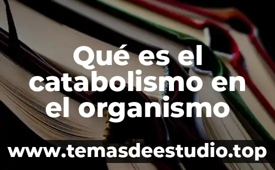 Que es lo que la cirrosis ase al organismo 3 Qué es el catabolismo en el organismo