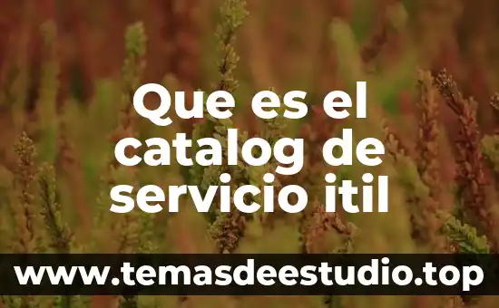 Que es el catalog de servicio itil