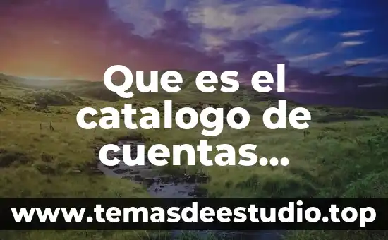 Que es un catalogo en bases de datos 6 Que es el catalogo de cuentas comercial