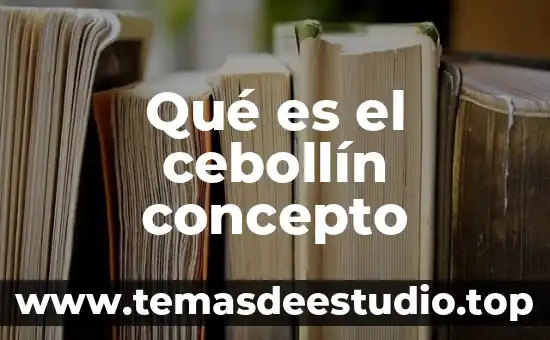 Que es un concepto rector 4 Qué es el cebollín concepto