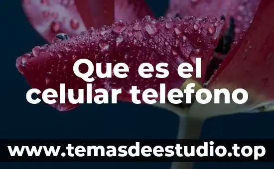 Por que es importante la etica para la sociedad 8 Que es el celular telefono