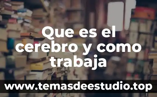 Qué es la geografía y qué trabaja 7 Que es el cerebro y como trabaja