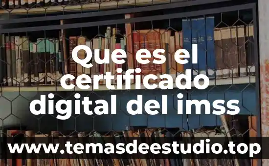 Qué es consultor digital 8 Que es el certificado digital del imss
