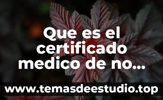 Que es ser un medico en la actualidad 7 Que es el certificado medico de no gravidez en jalisco