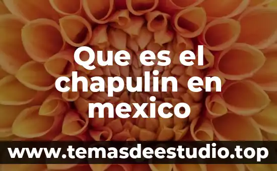 Que es el chapulin en mexico