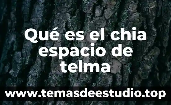 Que es una sociedad controladora filial 4 Qué es el chia espacio de telma