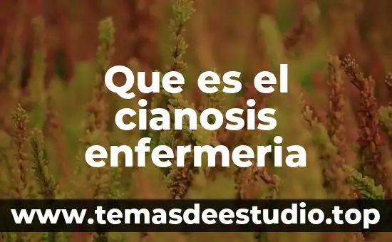 Que es la responsabiliddad profecional en enfermeria 7 Que es el cianosis enfermeria