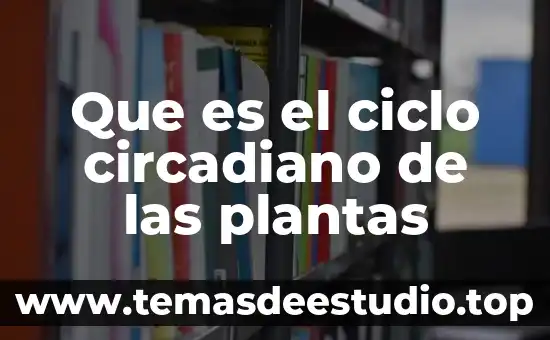 Que es clasificacion taxonomica de las plantas 7 Que es el ciclo circadiano de las plantas