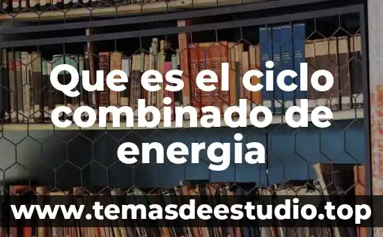 Que es el ciclo combinado de energia