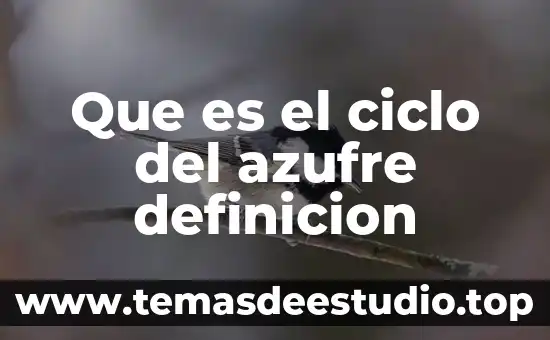 Que es el ciclo del azufre definicion
