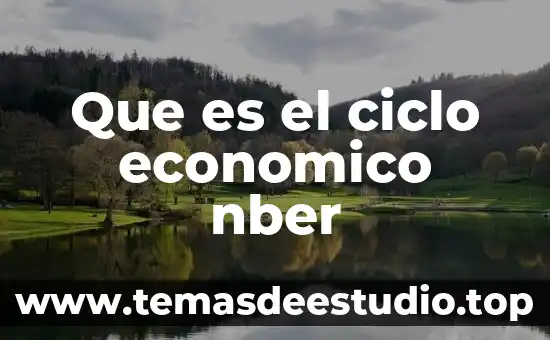 Que es el ciclo economico nber