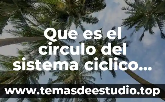 Que es el circulo del sistema ciclico o circular