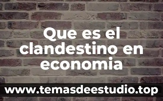 Qué es un proyecto simple y características 3 Que es el clandestino en economia