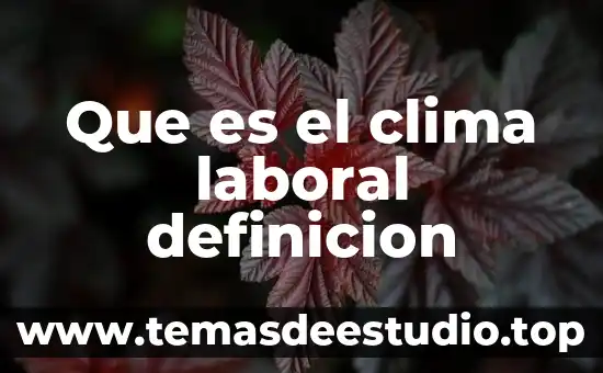 Qué es ácido definición y características 3 Que es el clima laboral definicion