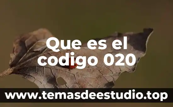 Código del sat 72151500 que es 7 Que es el codigo 020